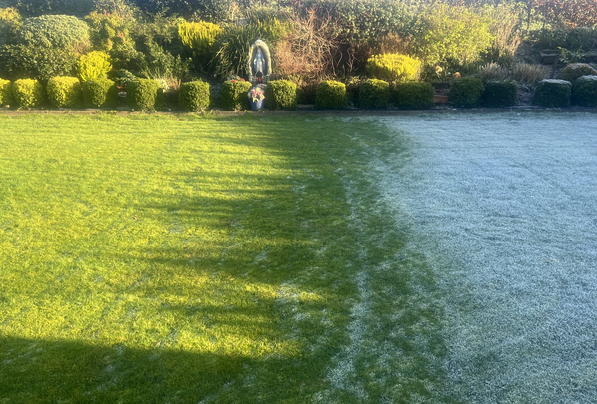  A Lawn Of Two Halves Today Is My Gift To You